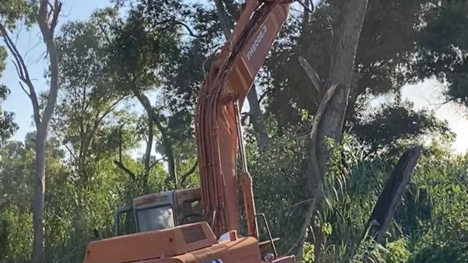 OmecoHub - Immagine 3